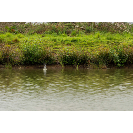 Momitor Method Feeder Preston - ICS In-Line Dura Method Feeder Medium 30gr Momitor Method Feeder Preston - ICS In-Line Dura Method Feeder Medium 30gr